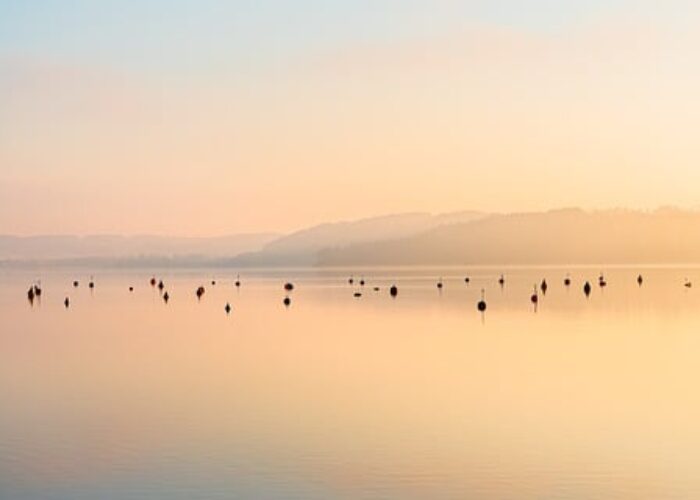 lake-9448809_640