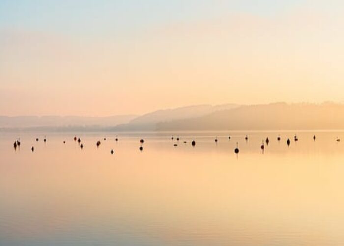 lake-9448809_640