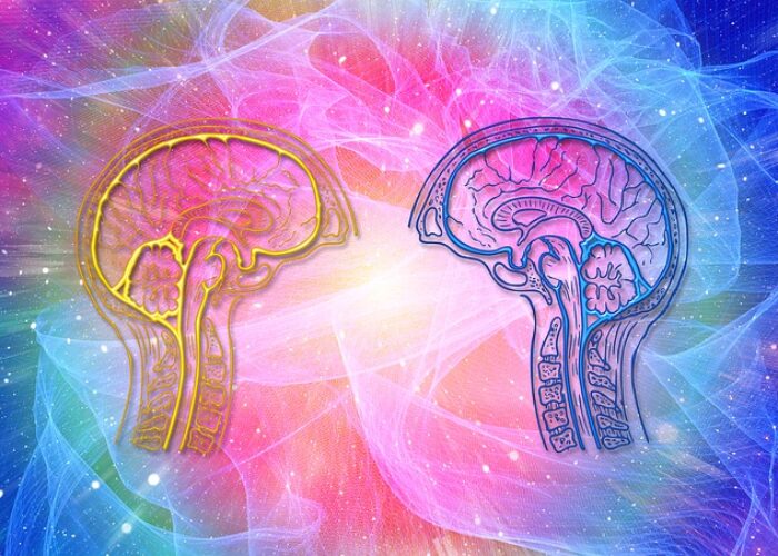 Art-thérapie et cerveau : les bienfaits de la création artistique en psychothérapie