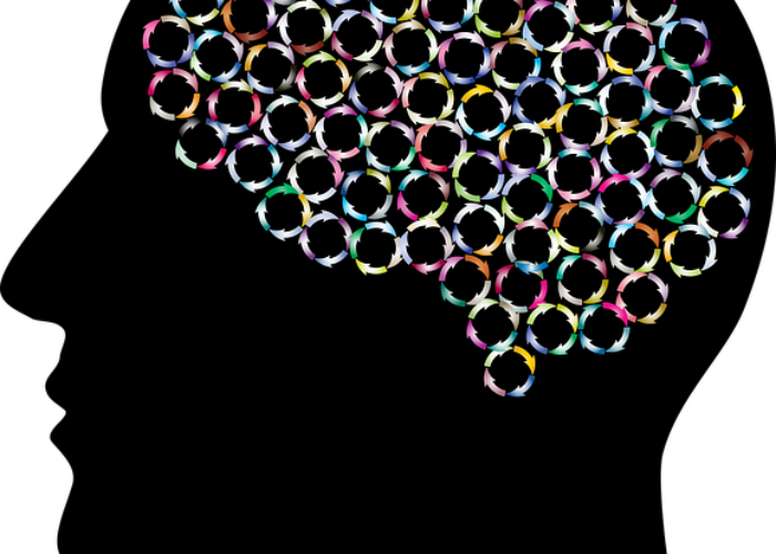 brain-3449629_640