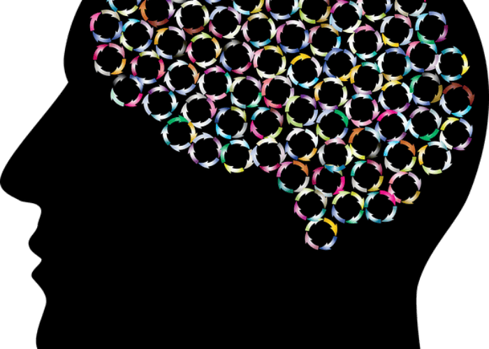 brain-3449629_640