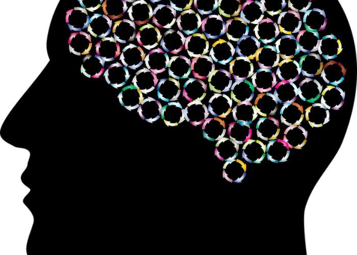 brain-3449629_640
