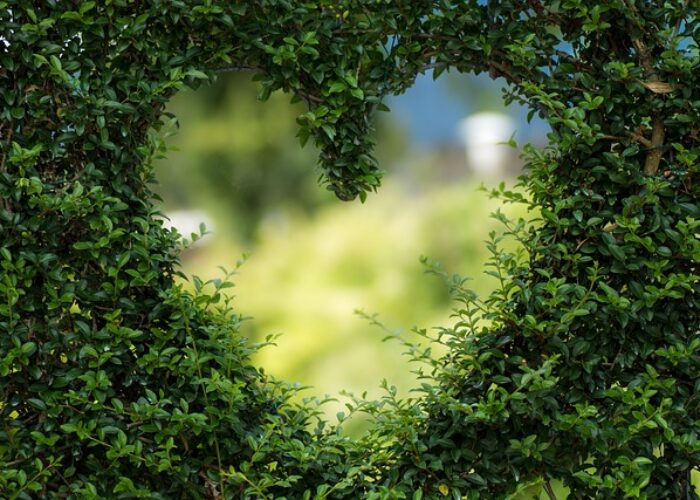 heart-g886e5f0cc_640