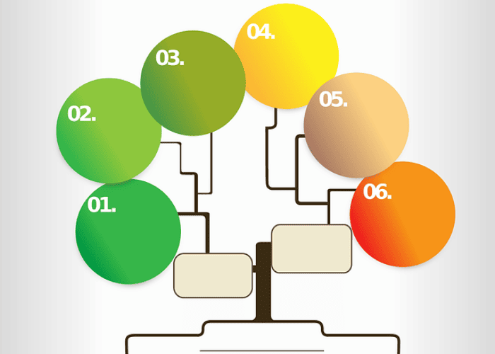 Infographie générique avec 6 étapes numérotées représentées par des cercles de couleurs dégradées du vert à l'orange