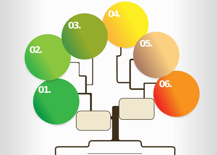 inforgraphic-steps-g22bcc10ec_640