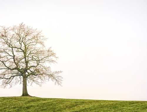 La solitude moderne : un mal silencieux pour la santé mentale et comment en sortir dans mon cabinet de psychologie à Nice